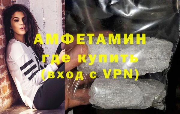 дживик Ельня