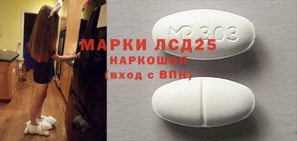 дживик Ельня