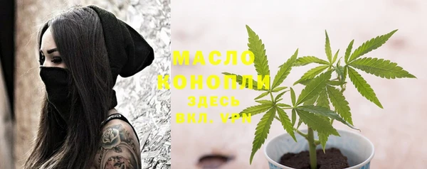 дживик Ельня