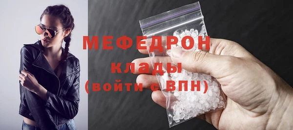 дживик Ельня