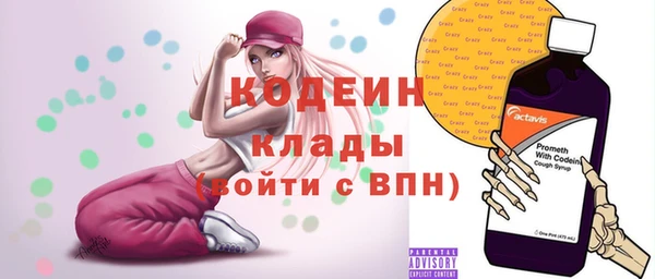 дживик Ельня