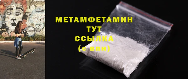 дживик Ельня