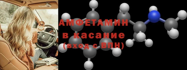 дживик Ельня