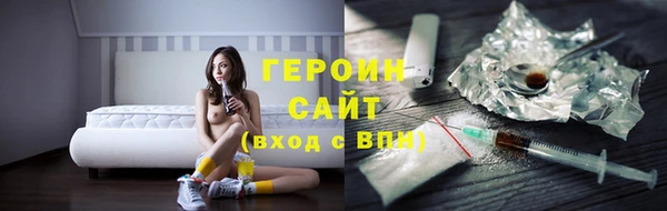 дживик Ельня