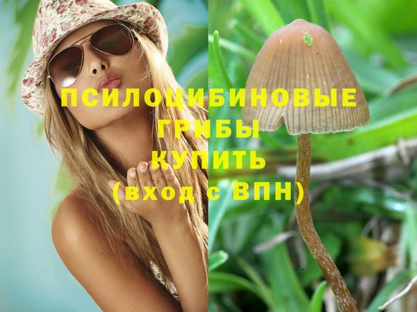 дживик Ельня