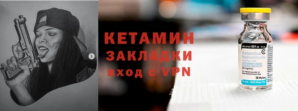 дживик Ельня