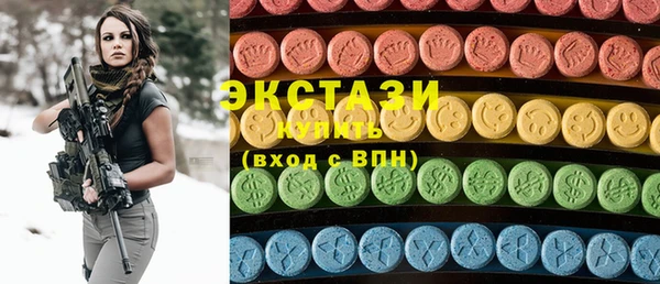 дживик Ельня