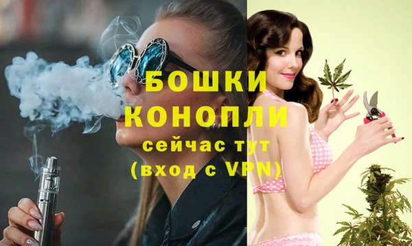 дживик Ельня