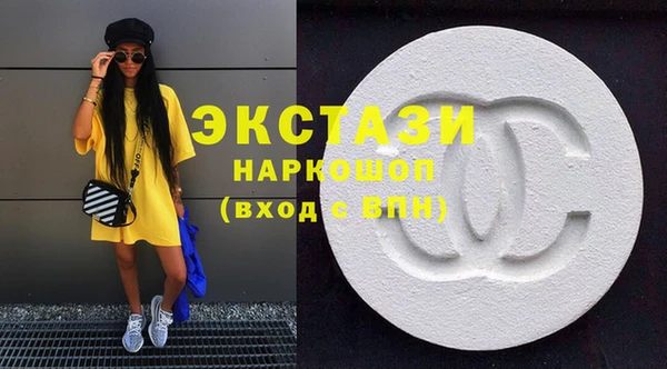 дживик Ельня