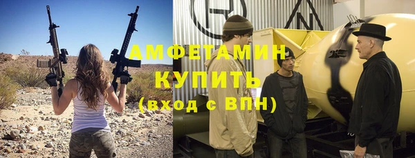 дживик Ельня