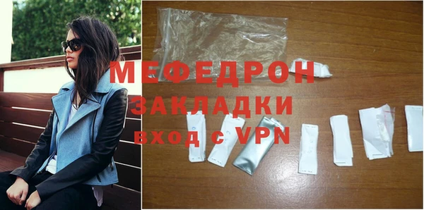 дживик Ельня