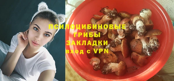 дживик Ельня