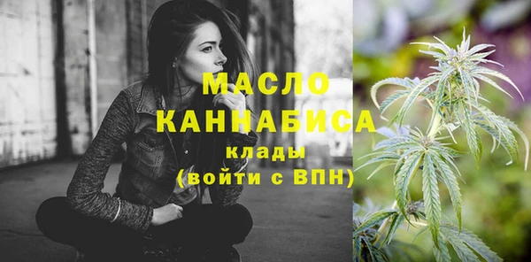 дживик Ельня