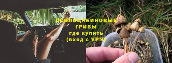дживик Ельня