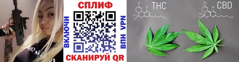 Канабис THC 21%  Купить закладки  Новый Оскол 